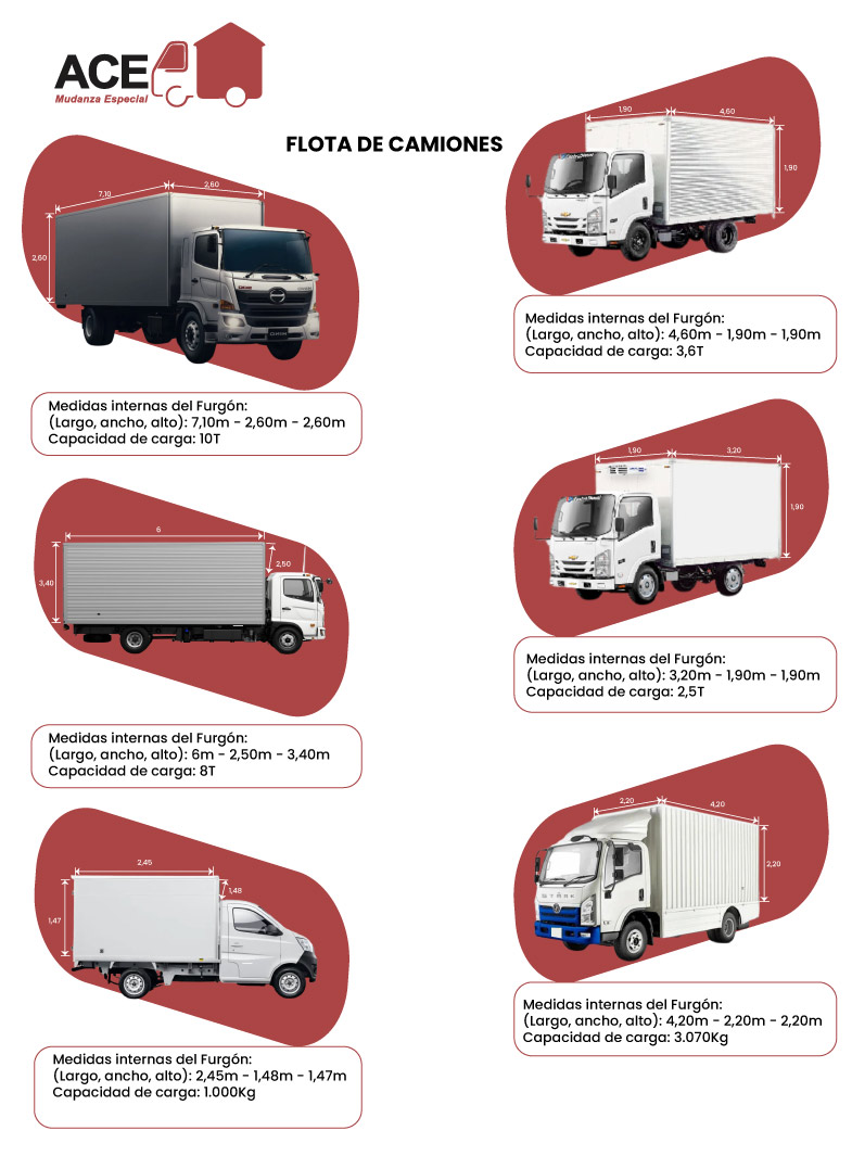 Infografia de camiones